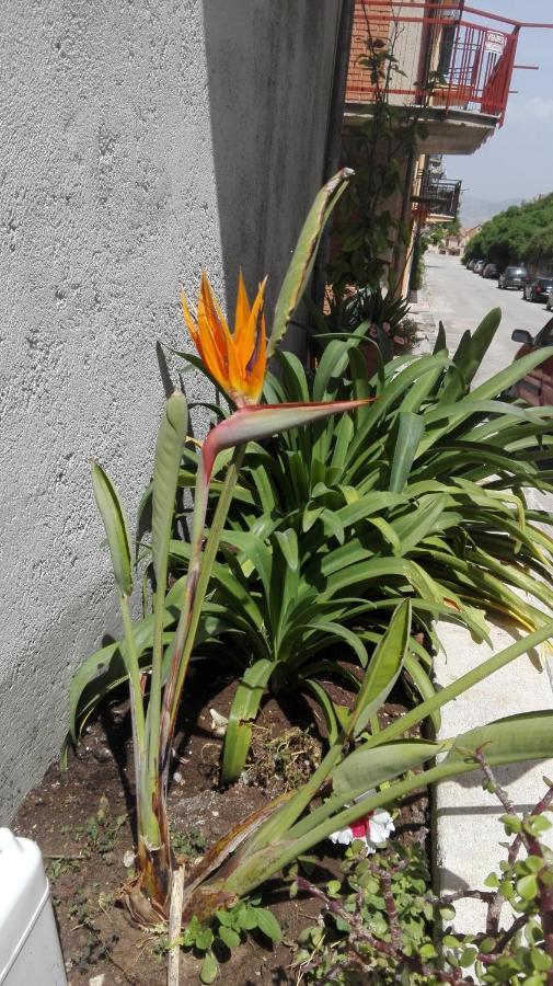 Sweety House Bed & Breakfast San Giovanni Gemini Ngoại thất bức ảnh