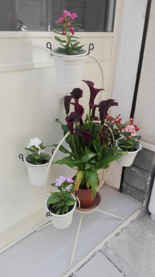 Sweety House Bed & Breakfast San Giovanni Gemini Ngoại thất bức ảnh
